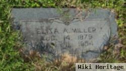 Eliza Ann Young Miller