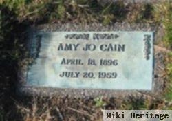 Amy Josephine "amy Jo" Rowse Cain