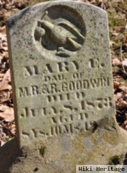 Mary E. Goodwin