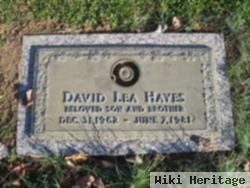 David Lea Hayes