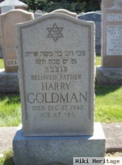 Harry Goldman