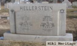 Meyer Hellerstein