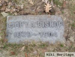 Mary Ann Bishop