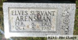 Elves Survant Arensman