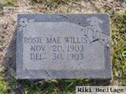 Rosie Mae Willis