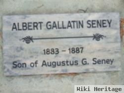 Albert Gallatin Seney