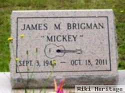 Pfc James Mitchel "mickey" Brigman