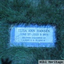 Elisa Ann Hansen