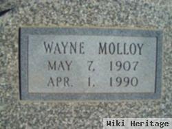 Anderson Wayne Molloy