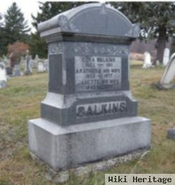 Ezra P. Calkins