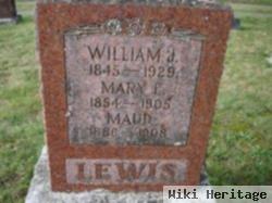 William J Lewis