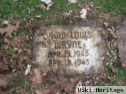 David Louis Wayne