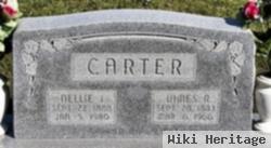 Nellie J Carter