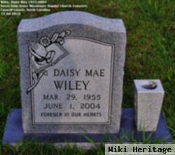 Daisy Mae Wiley