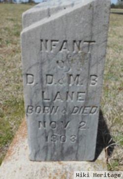 Infant Lane