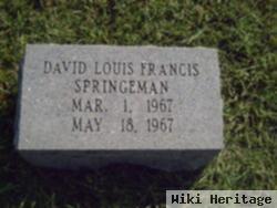 David Louis Francis Springeman