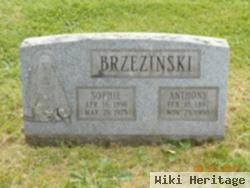 Anthony Brzezinski