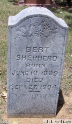 Bert Shepherd