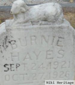 Burnie Hayes