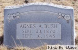 Agnes Bush