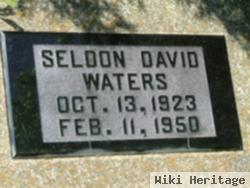 Seldon David Waters