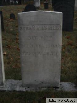 Sarah Arabella Reed Angier