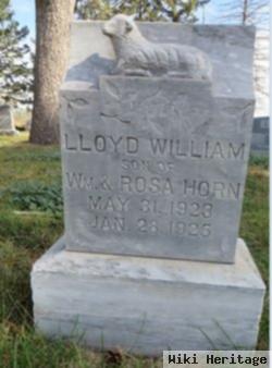 Lloyd William Horn