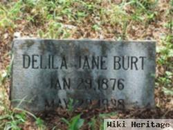 Delila Jane Mayes Burt