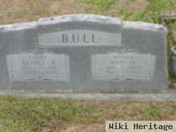 Mary Oefinger Bull