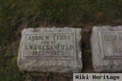 Andrew Leroy Canfield