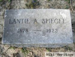 Lantie Alvertice Downing Spiegel