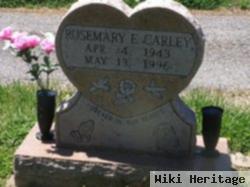 Rosemary Edwards Carley