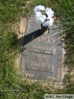 Harold E Bailey