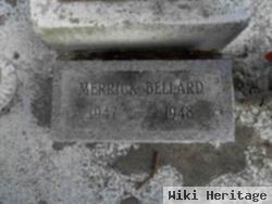 Merrick L P Bellard