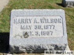 Harry A. Wilson