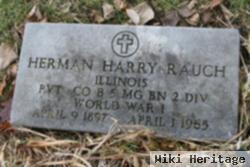 Herman H. Rauch