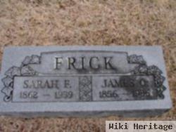 Sarah F. George Frick