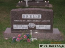 Peter L Bickler