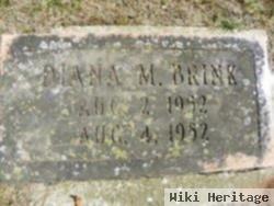 Diana M. Brink