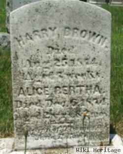 Harry Brown Earle