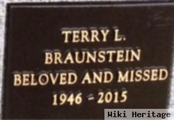 Terry L Braunstein