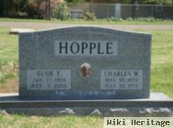 Susie Ellen Wilder Hopple