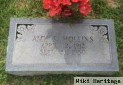 Amy E. Hollins