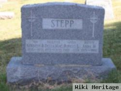 Kenneth R Stepp