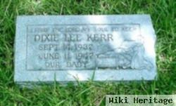 Dixie Lee Kerr