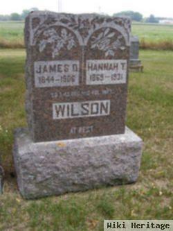 Hannah T. Wilson