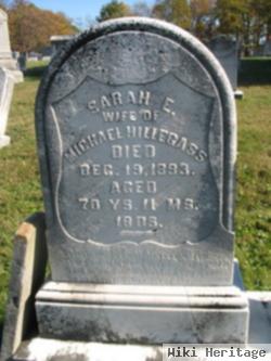 Sarah E. Hillegass