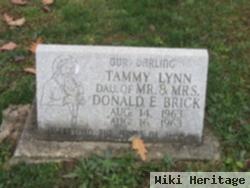 Tammy Lynn Brick