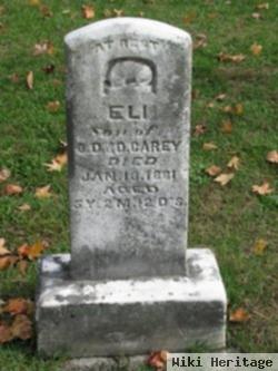 Eli Carey