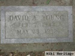 David A. Young